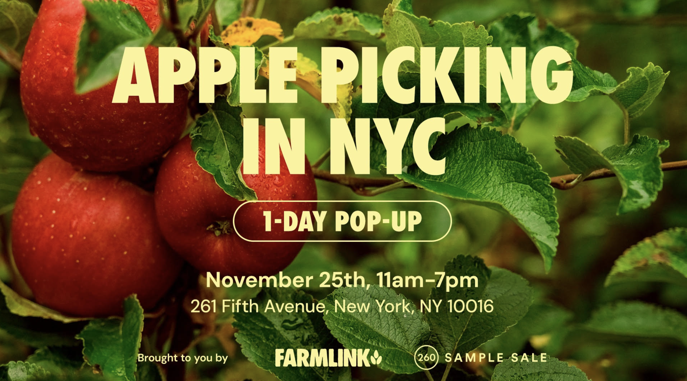 the-farmlink-project-nyc-apple-orchard-nyc-for-free